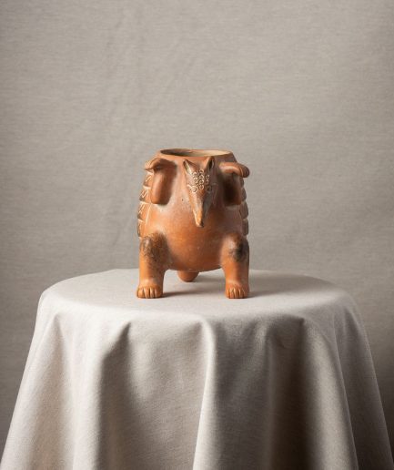 Armadillo de barro