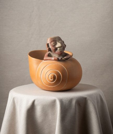 Caracol con persona adentro