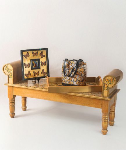 set varios mariposa