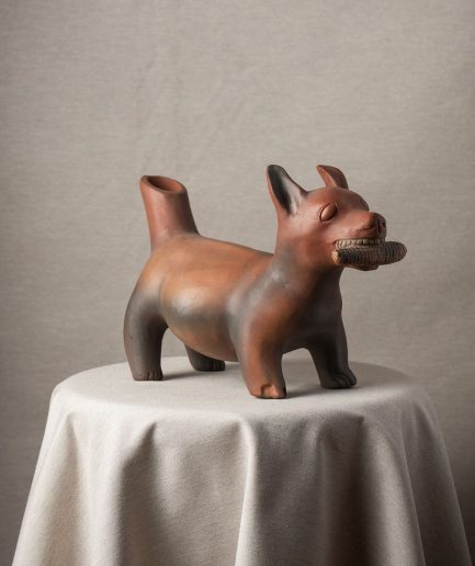 Perro con mazorca